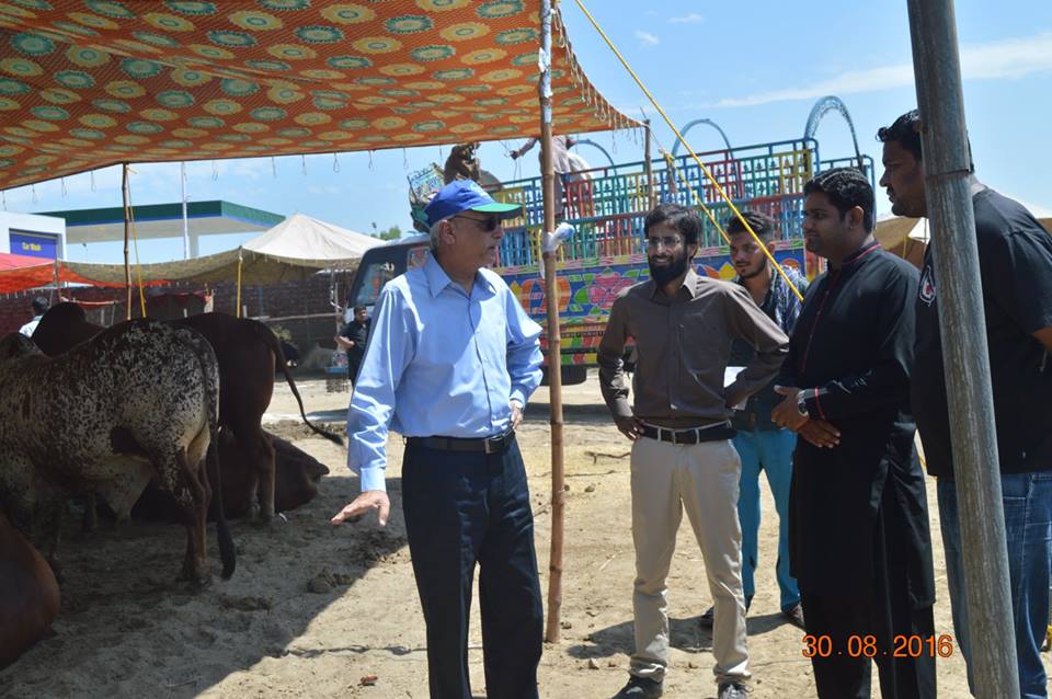 MD GWMC Dr Atta-ul-Haq Visited Cattle Market to Check Cleanliness