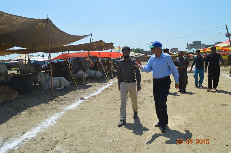 MD GWMC Dr Atta-ul-Haq Visited Cattle Market to Check Cleanliness