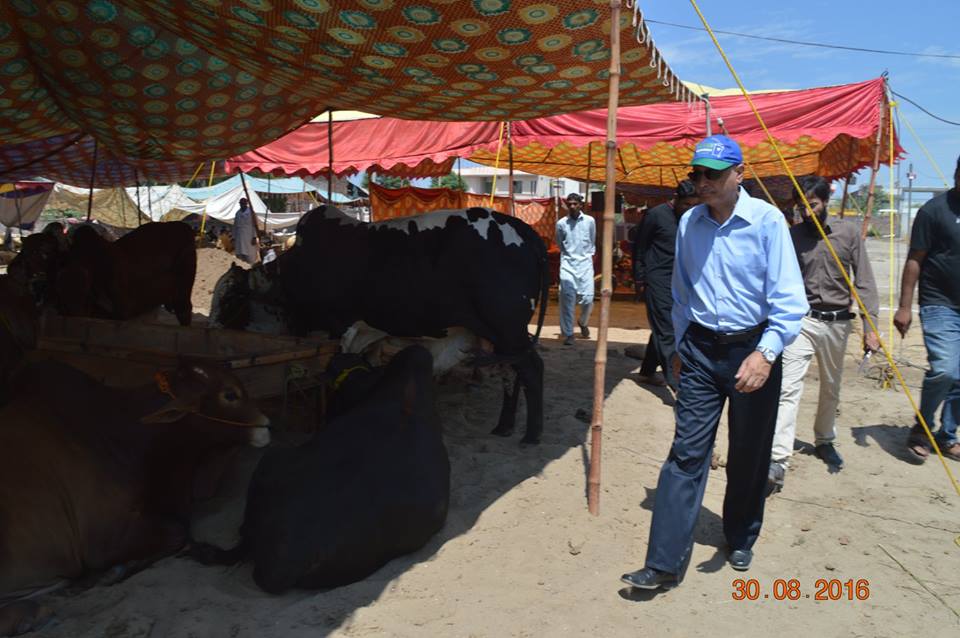 MD GWMC Dr Atta-ul-Haq Visited Cattle Market to Check Cleanliness